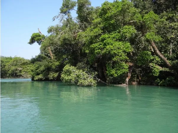 Nature around Dandeli