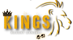 Dandeli Resort Hotel Logo